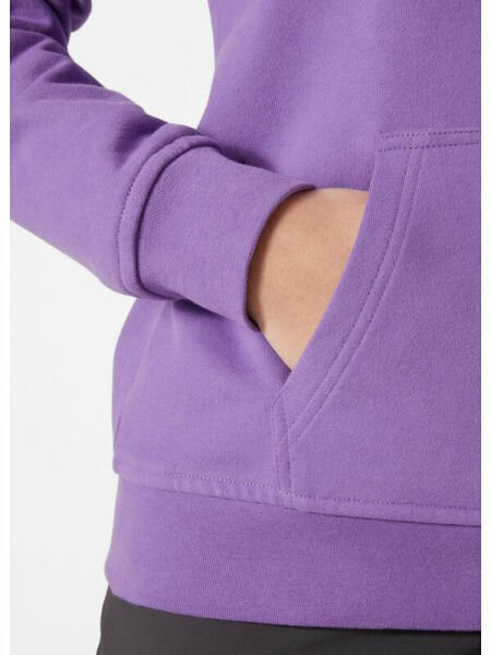 HELLY HANSEN W LOGO HOODIE KAPİŞONLU